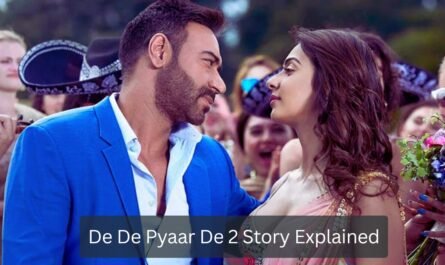 De De Pyaar De 2 Story Explained