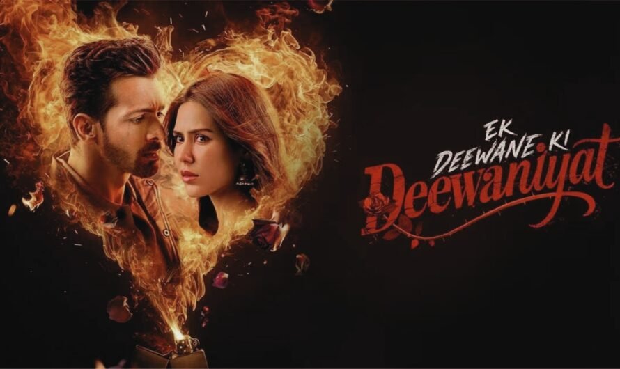 Ek Deewane Ki Deewaniyat: A Heart-Torn Love Saga of Passion, Obsession, and Destiny – Full Story & Ending Explained