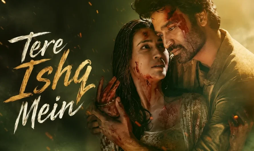 Tere Ishq Mein : Story, Cast & Ending Breakdown