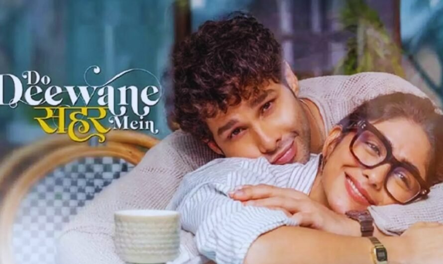 Do Deewane Seher Mein: Complete Story Breakdown, Cast Details, Character Analysis & Heart-Touching Ending Explained